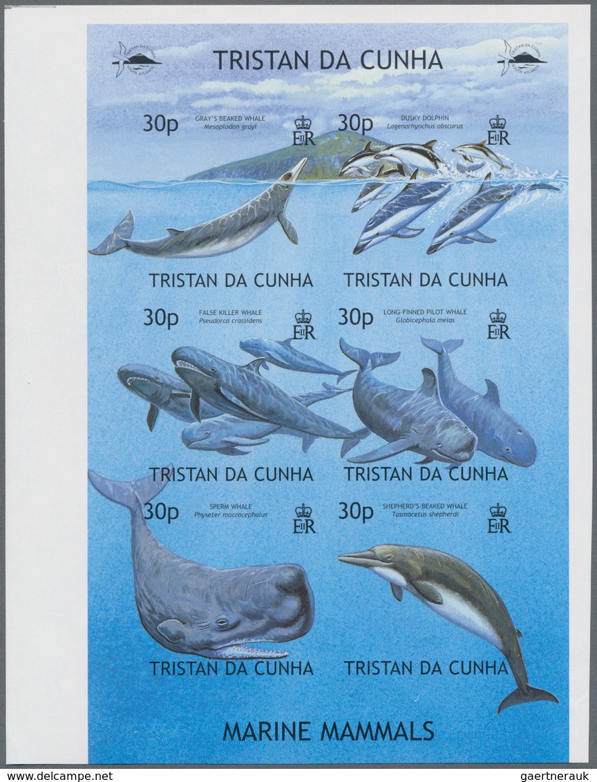 Thematik: Tiere-Meeressäuger (u.a. Wale) / Animals-aquatic Mammals: 2002, TRISTAN DA CUNHA: Whales A - Andere & Zonder Classificatie