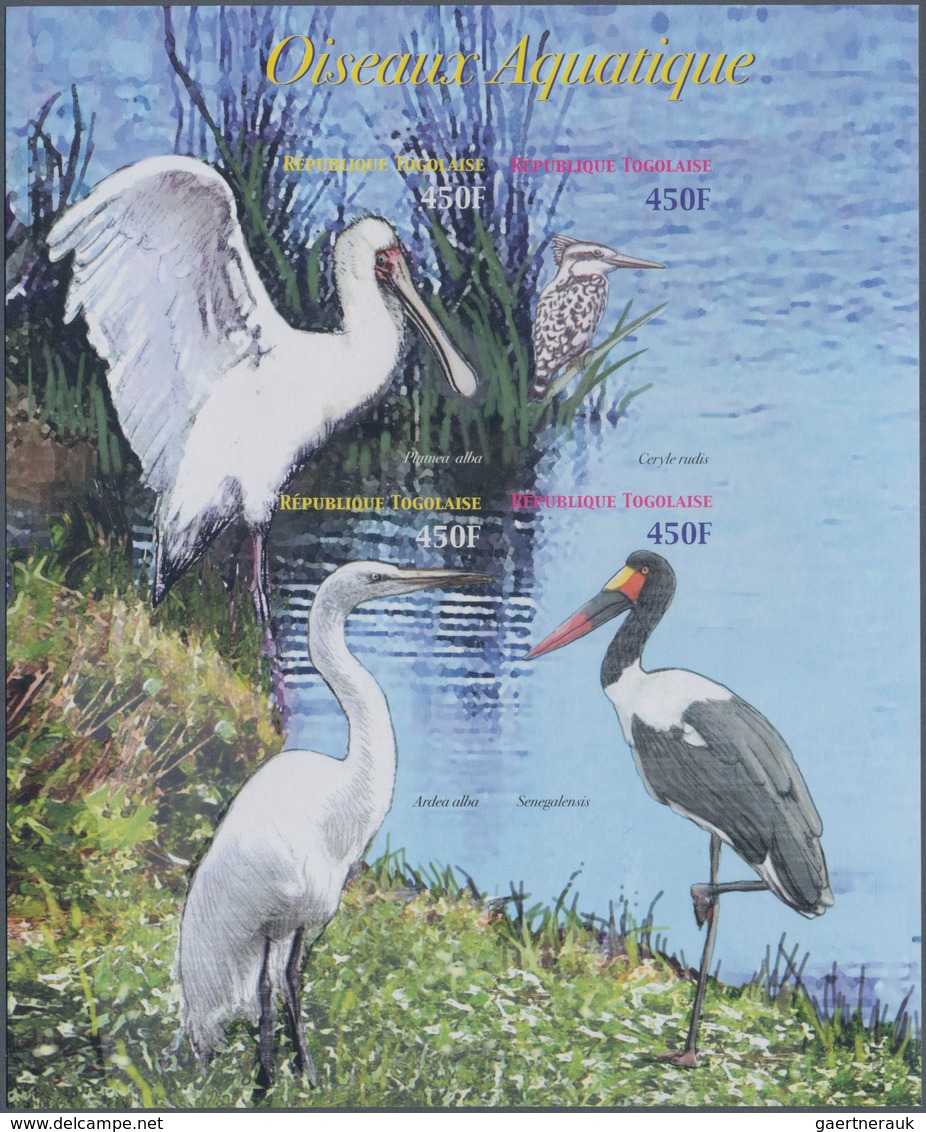 Thematik: Tiere-Wasservögel / Animals-water Birds: 2006, Togo. IMPERFORATE Miniature Sheet For The I - Autres & Non Classés