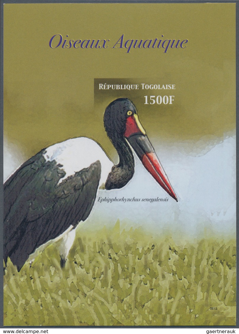 Thematik: Tiere-Wasservögel / Animals-water Birds: 2006, Togo. IMPERFORATE Souvenir Sheet For The Is - Other & Unclassified