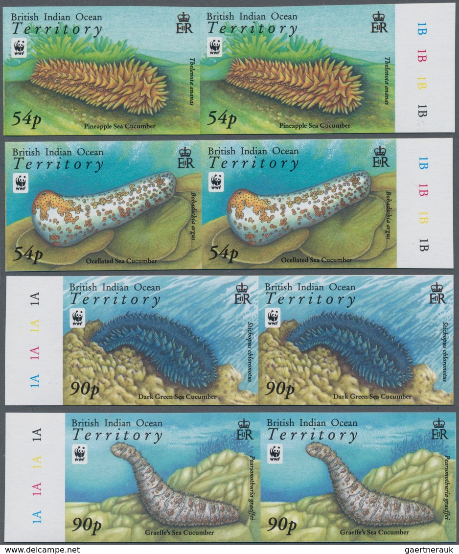 Thematik: WWF: 2008, BRITISH INDIAN OCEAN TERRITORY: WWF Sea Cucumbers Complete Set Of Four In Horiz - Other & Unclassified