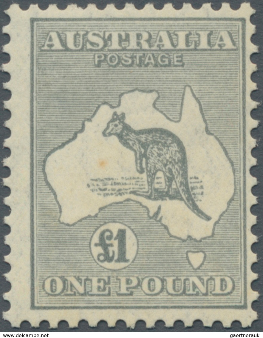 Australien: 1935, Kangaroo £1 Grey With CofA Wmk. Centred To Right, Mint Lightly Hinged, Scarce Stam - Other & Unclassified