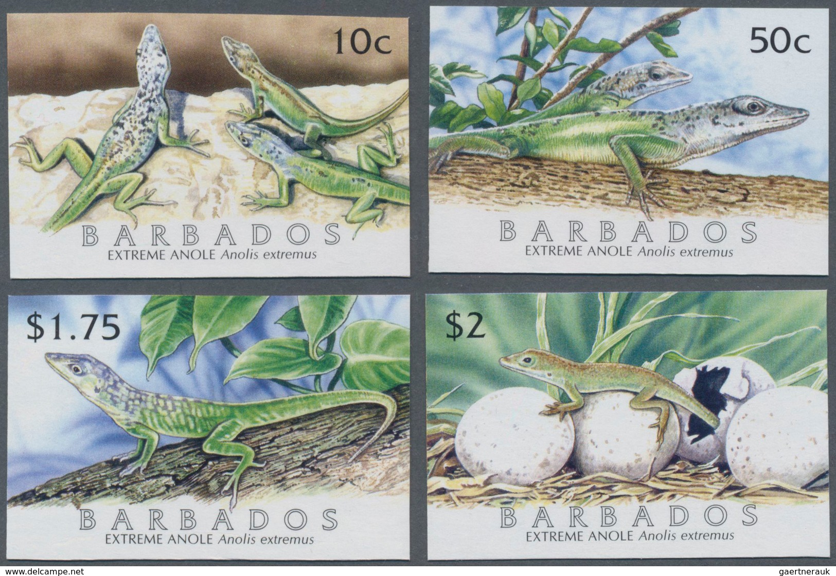 Barbados: 2005. Complete Set "Barbados Anolis, Endemic Lizard Species" (4 Values) In IMPERFORATE Sin - Barbados (1966-...)