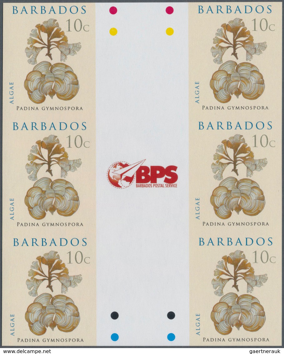 Barbados: 2008. IMPERFORATE Vertical Gutter Block Of 3 Horizontal Pairs For The 10c Value Of The ALG - Barbados (1966-...)