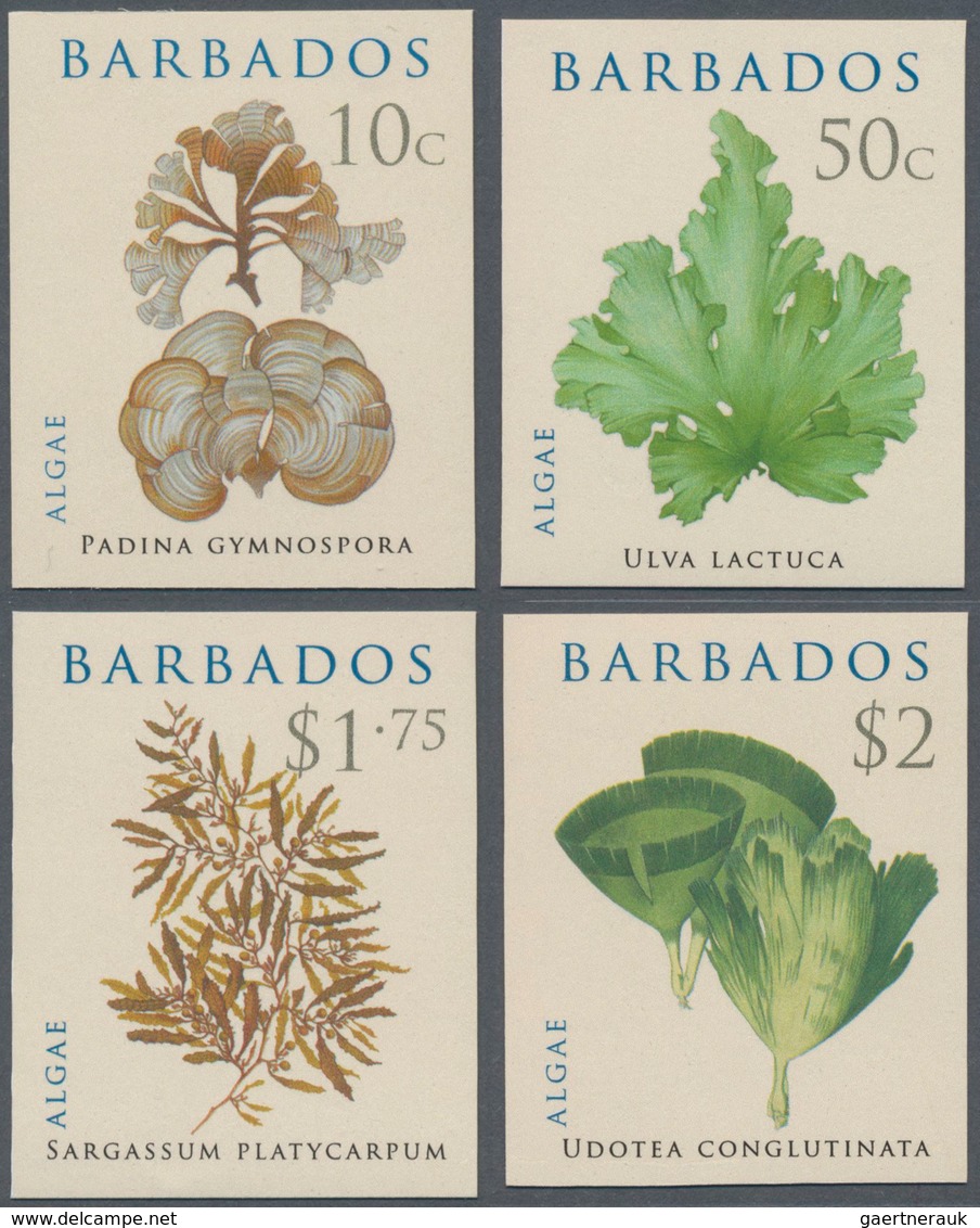 Barbados: 2008. Complete Set ALGAE (4 Values) In IMPERFORATE Single Stamps. Mint, NH. Rare! - Barbades (1966-...)