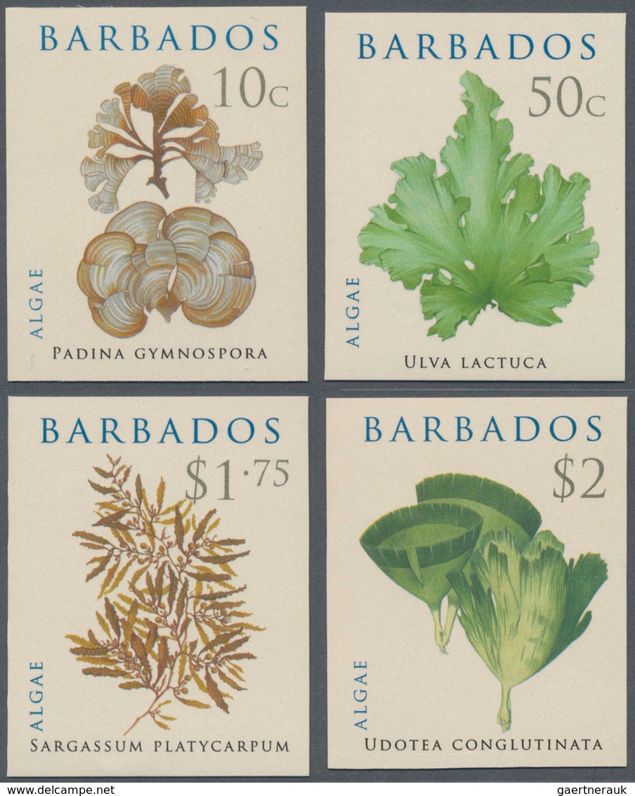 Barbados: 2008. Complete Set ALGAE (4 Values) In IMPERFORATE Single Stamps. Mint, NH. Rare! - Barbados (1966-...)