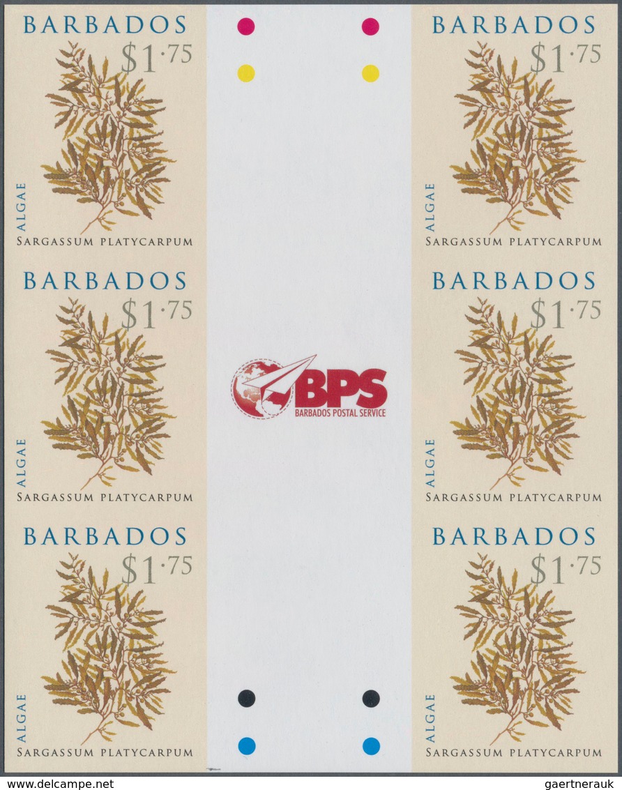 Barbados: 2008. IMPERFORATE Vertical Gutter Block Of 3 Horizontal Pairs For The $1.75 Value Of The A - Barbados (1966-...)