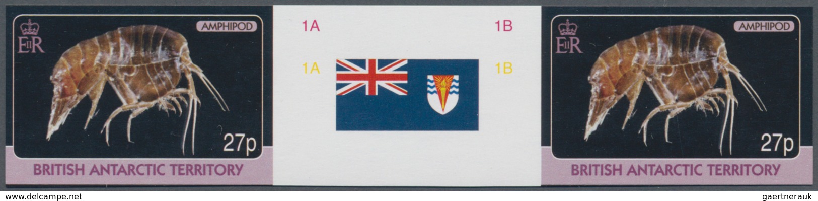 Britische Gebiete In Der Antarktis: 2010, International Year Of Biodiversity 'Sea Animals' (amphipod - Unused Stamps