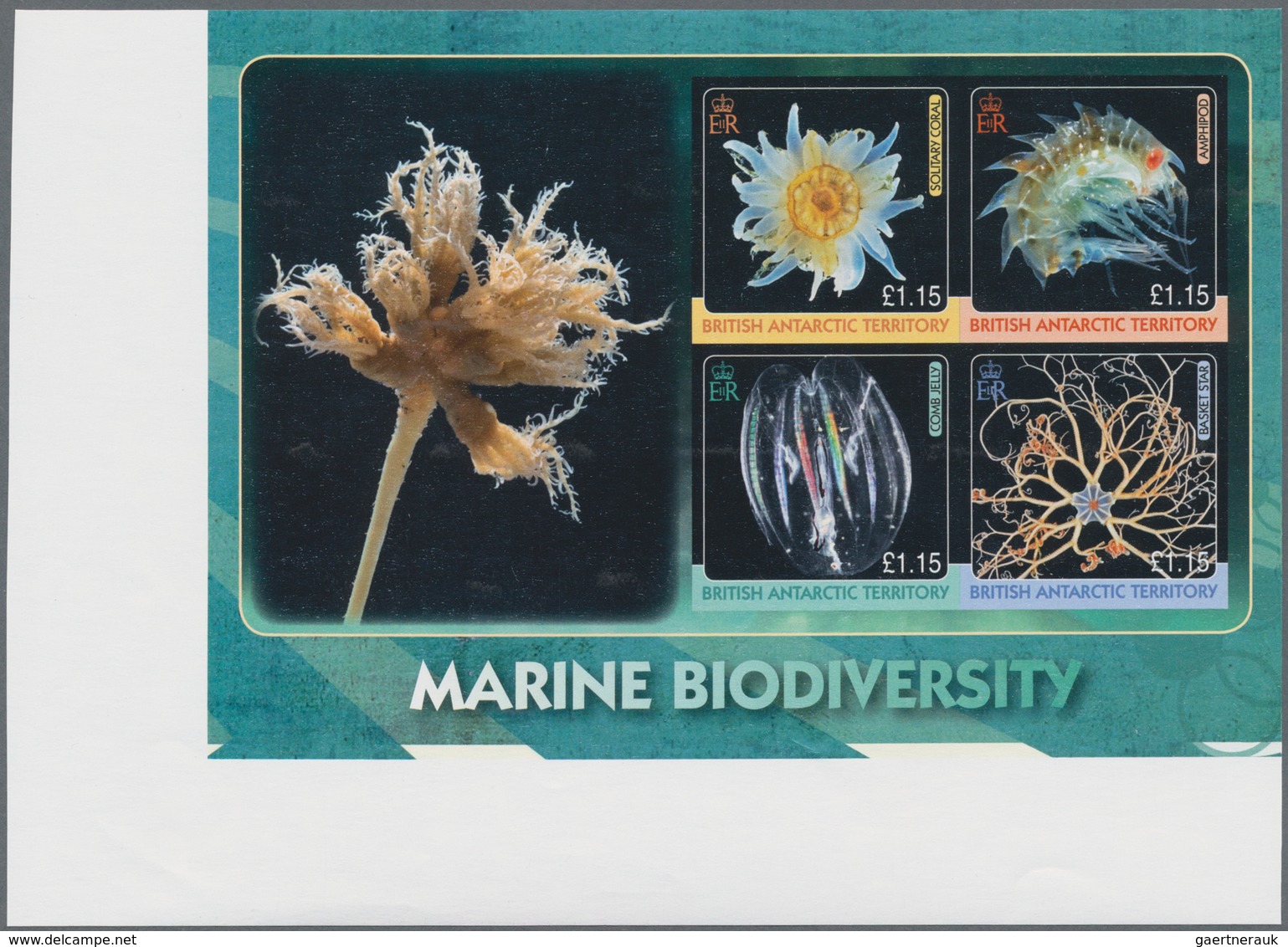 Britische Gebiete In Der Antarktis: 2010, International Year Of Biodiversity 'Sea Animals' (comb Jel - Unused Stamps