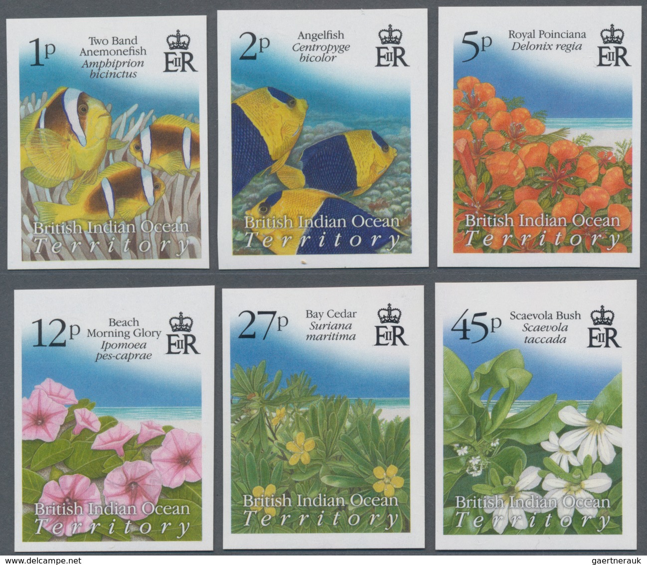 Britisches Territorium Im Indischen Ozean: 2009, Nature And Environment Definitives (fishes, Flowers - Andere & Zonder Classificatie