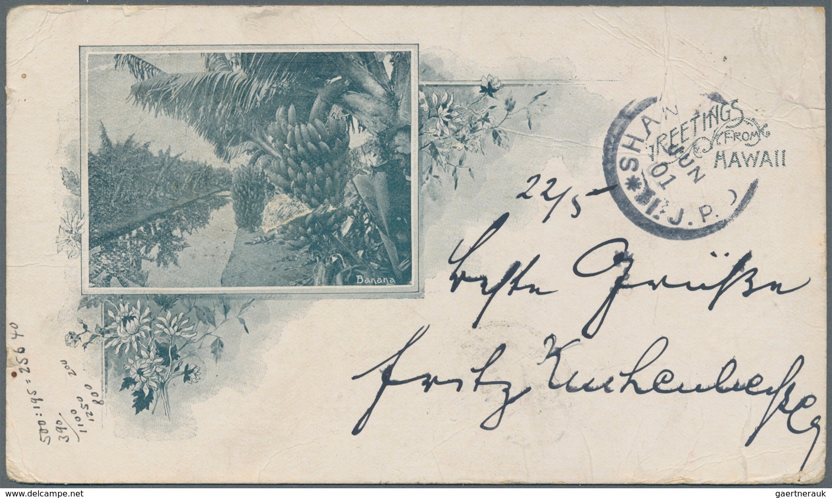 Hawaii: 1901, US 2 C. Red Tied "HONOLULU MAY 22 1901" To Ppc "private Mailing Card" W. On Reverse "G - Hawaï