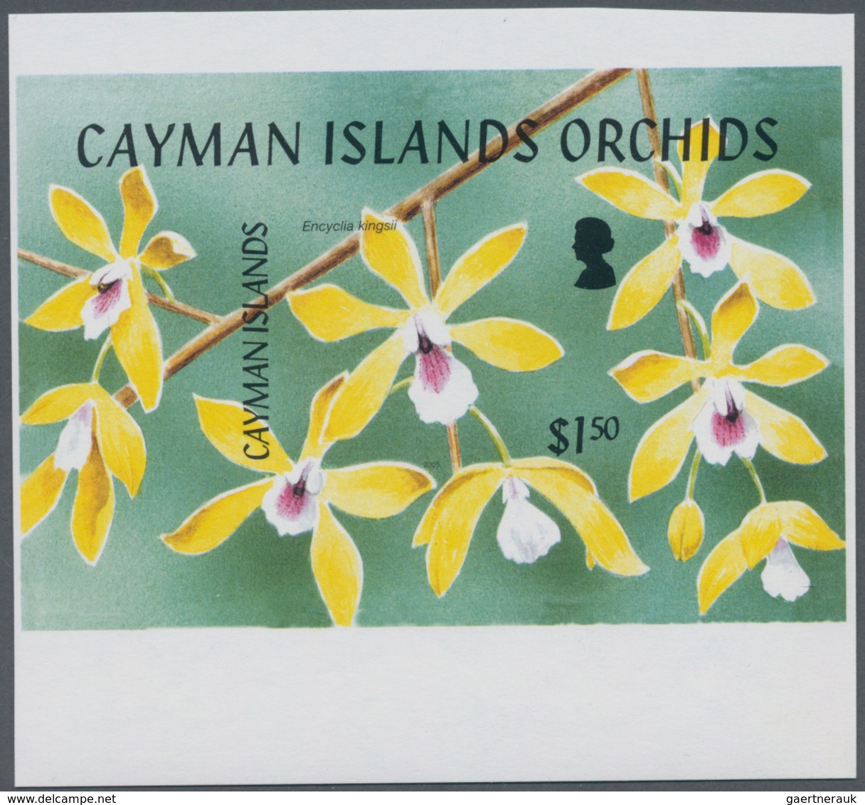 Kaiman-Inseln / Cayman Islands: 2005, Orchids Complete Set Of Five In Horizontal Or Vertical IMPERFO - Kaaiman Eilanden