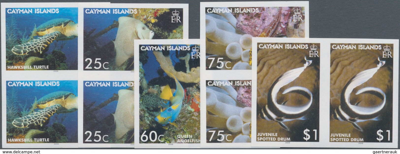 Kaiman-Inseln / Cayman Islands: 2006, Sea Animals Complete Set Of Five (fishes And Turtle) In Horizo - Cayman Islands