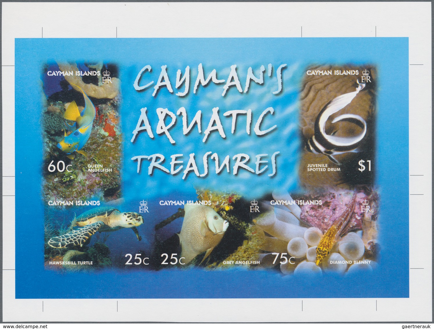 Kaiman-Inseln / Cayman Islands: 2006, Sea Animals Complete Set Of Five (fishes And Turtle) In Horizo - Caimán (Islas)