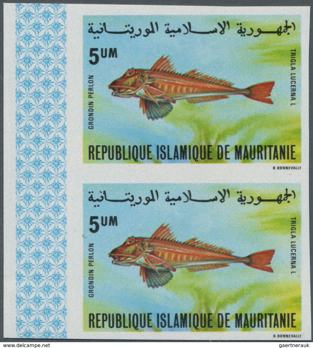 Mauretanien: 1979, Einheimische Fische Kompletter Satz In UNGEZÄHNTEN Senkrechten Paaren Vom Linken - Mauritanië (1960-...)