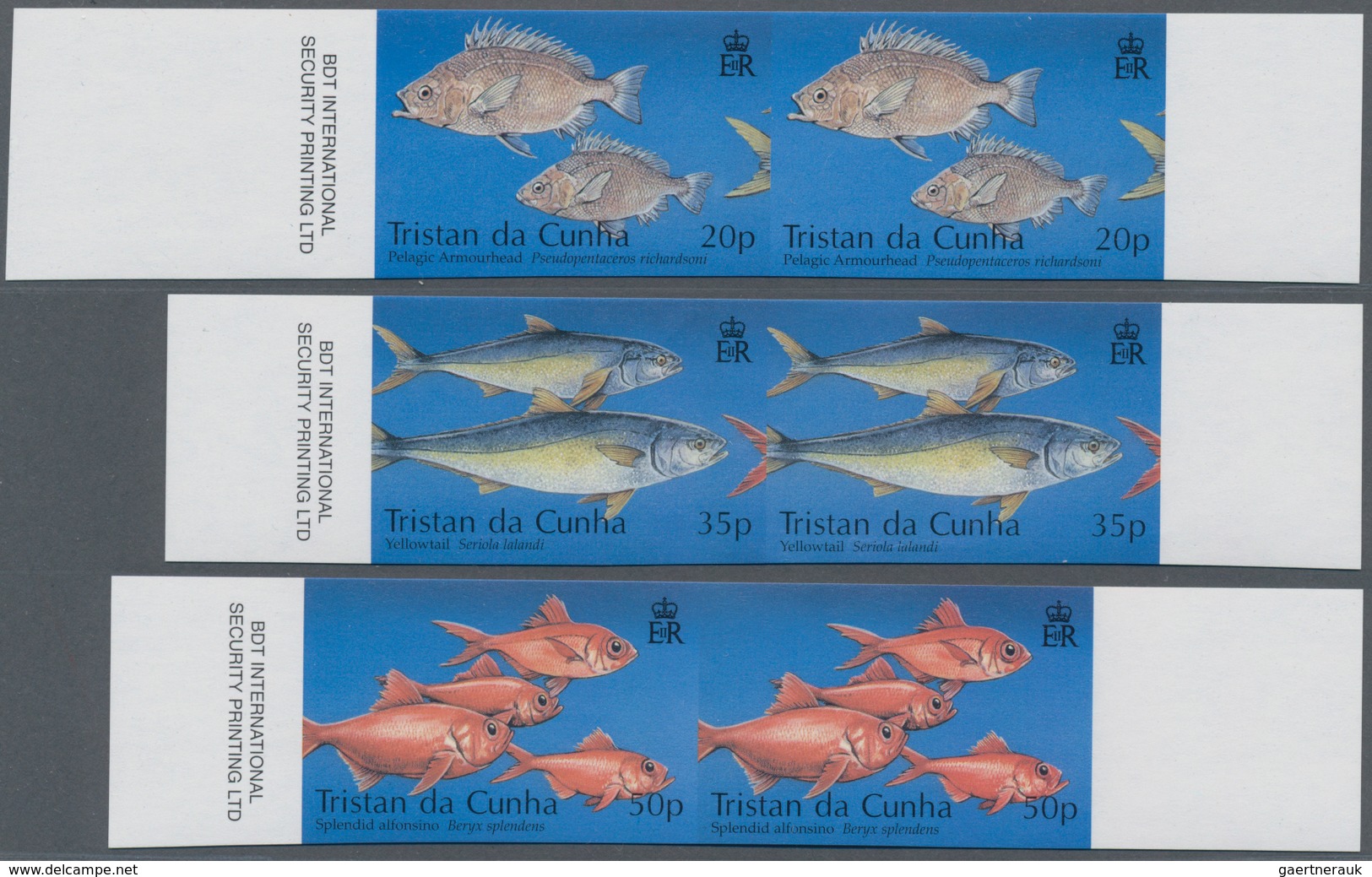 Tristan Da Cunha: 2002, Fishery Industry Complete Set Of Three With Diff. Fishes In Horizontal IMPER - Tristan Da Cunha