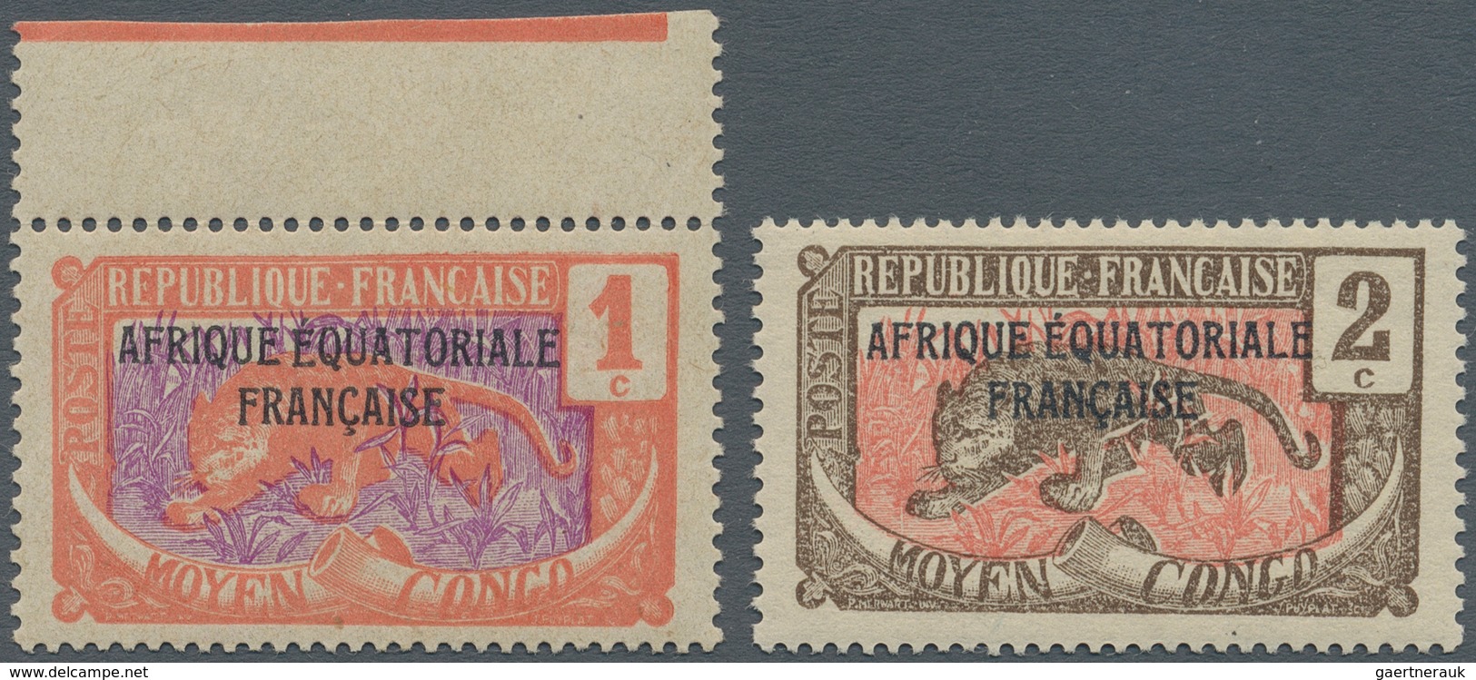 Tschad: 1924, Definitives, 1 C. And 2 C., Without Overprint "TCHAD", Mint Never Hinged, (Yv. No. 19 - Tsjaad (1960-...)