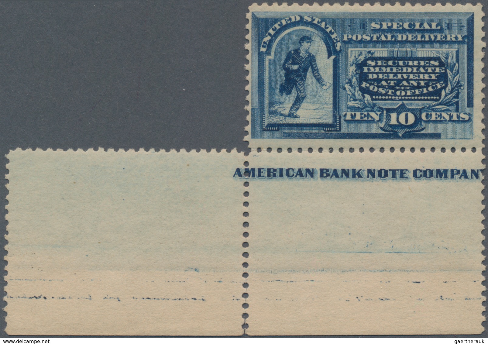 Vereinigte Staaten Von Amerika: 10c 1888 Special Delivery (Scott No. E2), Never Hinged Bottom Imprin - Other & Unclassified