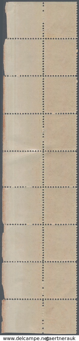 Vereinigte Staaten Von Amerika: 5c 1894 Unwatermarked (Scott 255), Never Hinged Right Plate No. 56, - Other & Unclassified