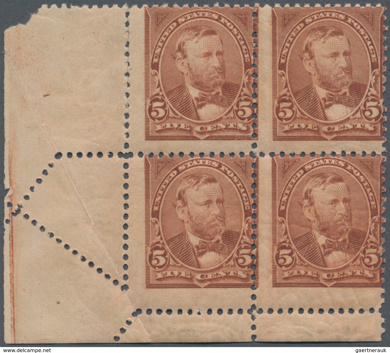 Vereinigte Staaten Von Amerika: 5c Unwatermarked 1894 (Scott 255), Never Hinged Bottom Left Corner B - Other & Unclassified