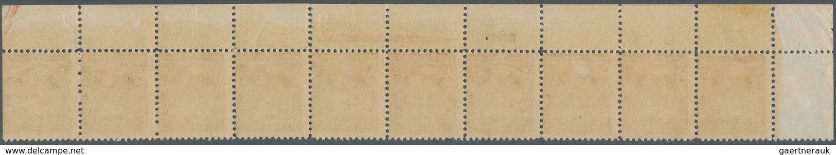 Vereinigte Staaten Von Amerika: 5c 1895 Watermarked (Scott 270), Never Hinged Bottom Plate No. 162, - Other & Unclassified