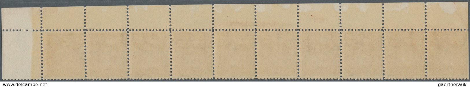 Vereinigte Staaten Von Amerika: 5c 1895 Watermarked (Scott 270), Never Hinged Bottom Plate No. 250, - Other & Unclassified