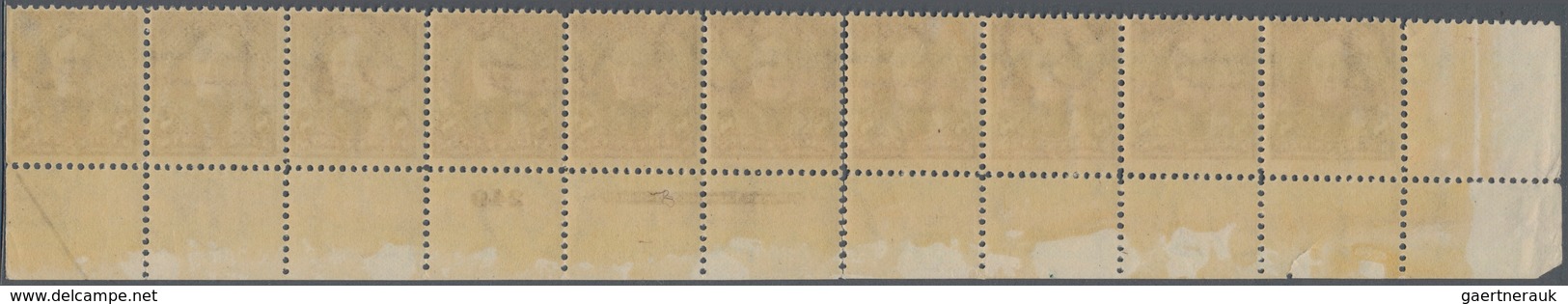 Vereinigte Staaten Von Amerika: 8c 1895 Watermarked (Scott 272), Never Hinged Bottom Plate No. 249, - Other & Unclassified
