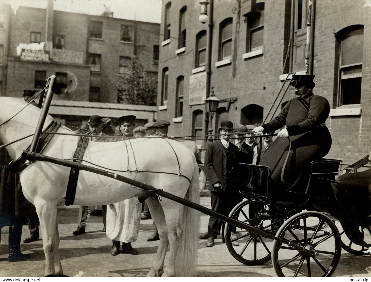 RUSSIAN DRIVER OLYMPIC HORSE SHOW ATTELAGE CART ANIMAUX ANIMALS ANIMALES 21*16CM Fonds Victor FORBIN 1864-1947 - Otros & Sin Clasificación