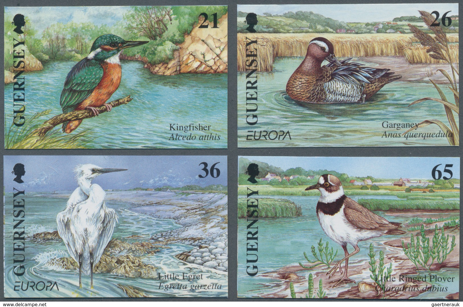 Großbritannien - Guernsey: 2001. Complete Set "Europe: Birds; Water For Life" (4 Values) In IMPERFOR - Guernsey