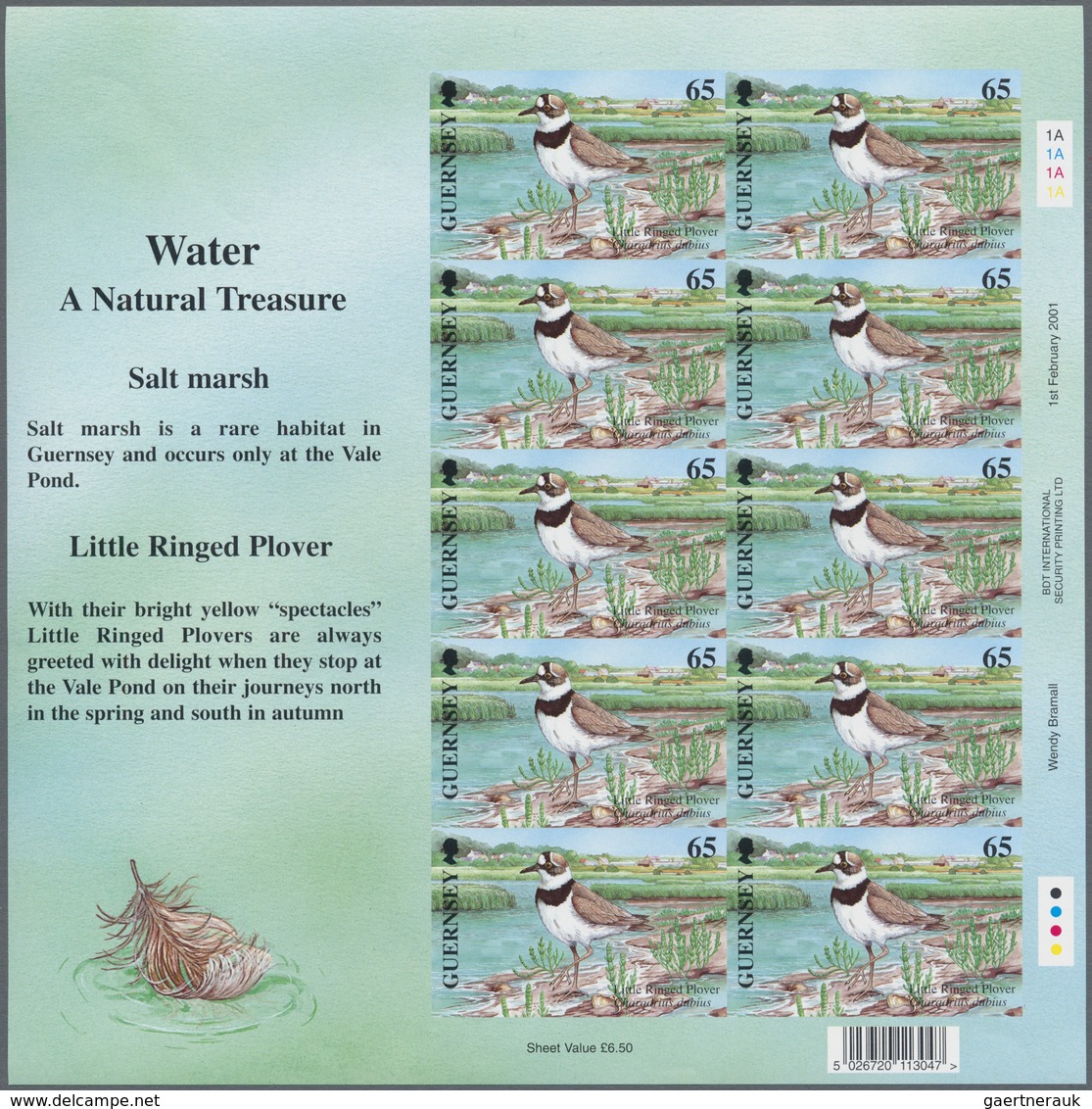 Großbritannien - Guernsey: 2001, 65 P. "Europe - Birds - Little Ringed Plover" As Completely Imperfo - Guernsey