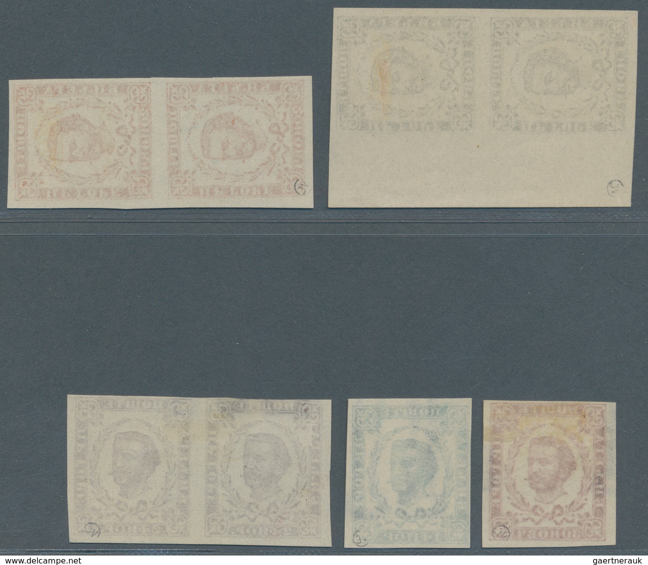 Montenegro: 1894 (10 Feb). Prince Nicholas. NEW VALUES. 1n Grey-blue, 20n Orange-brown, 30n Brown-pu - Montenegro