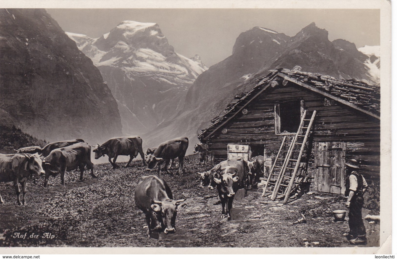 Auf Der Alp Mit Kühen - Altri & Non Classificati