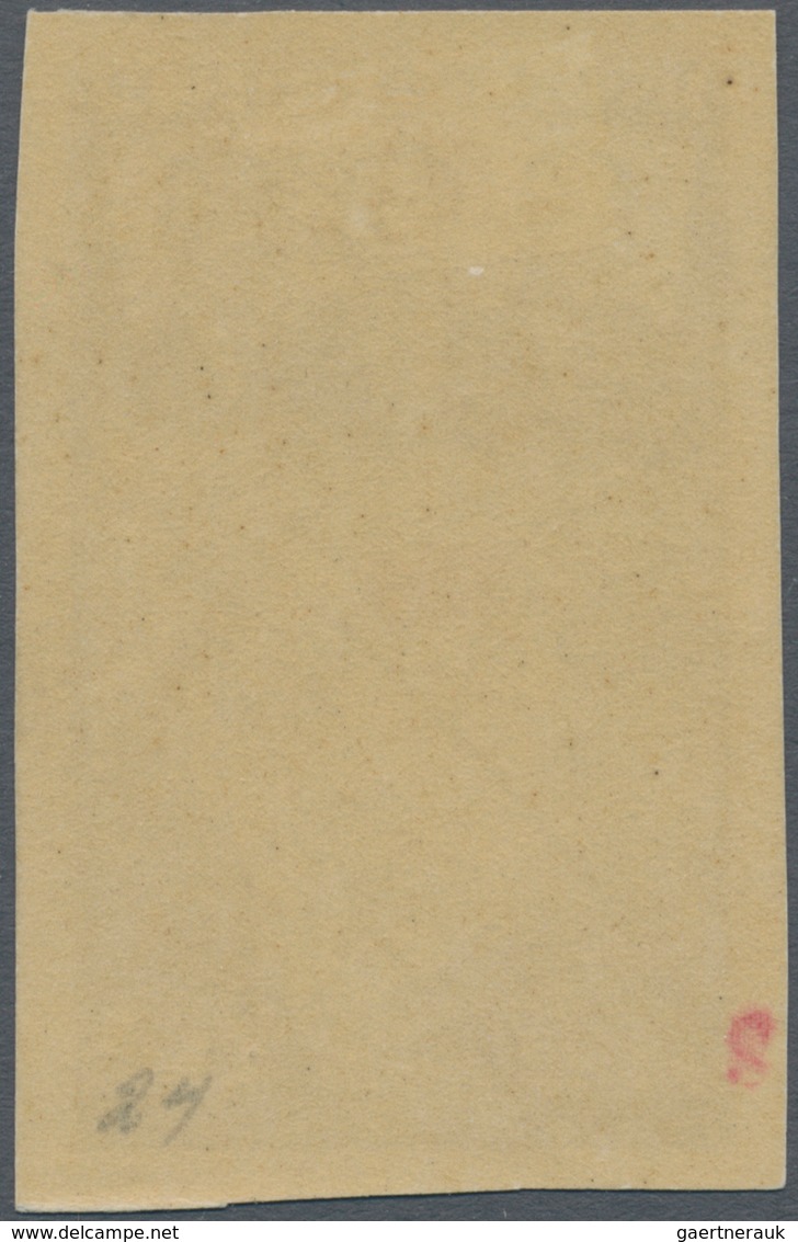 Sowjetunion: 1938, 1st Transpolar Flight 20kop. Brownish Black/red IMPERFORATE, Mint Original Gum Pr - Other & Unclassified