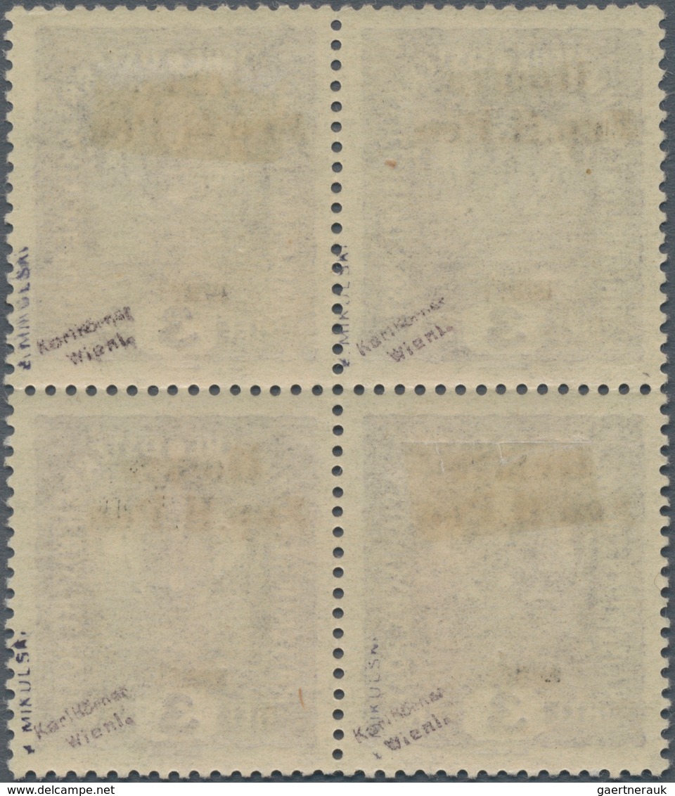 Westukraine: 1919, 1st Stanislaus Issue Sch On 3 H. Varieties: "no Dot After H" (Pos. 3), "wide Spac - Oekraïne