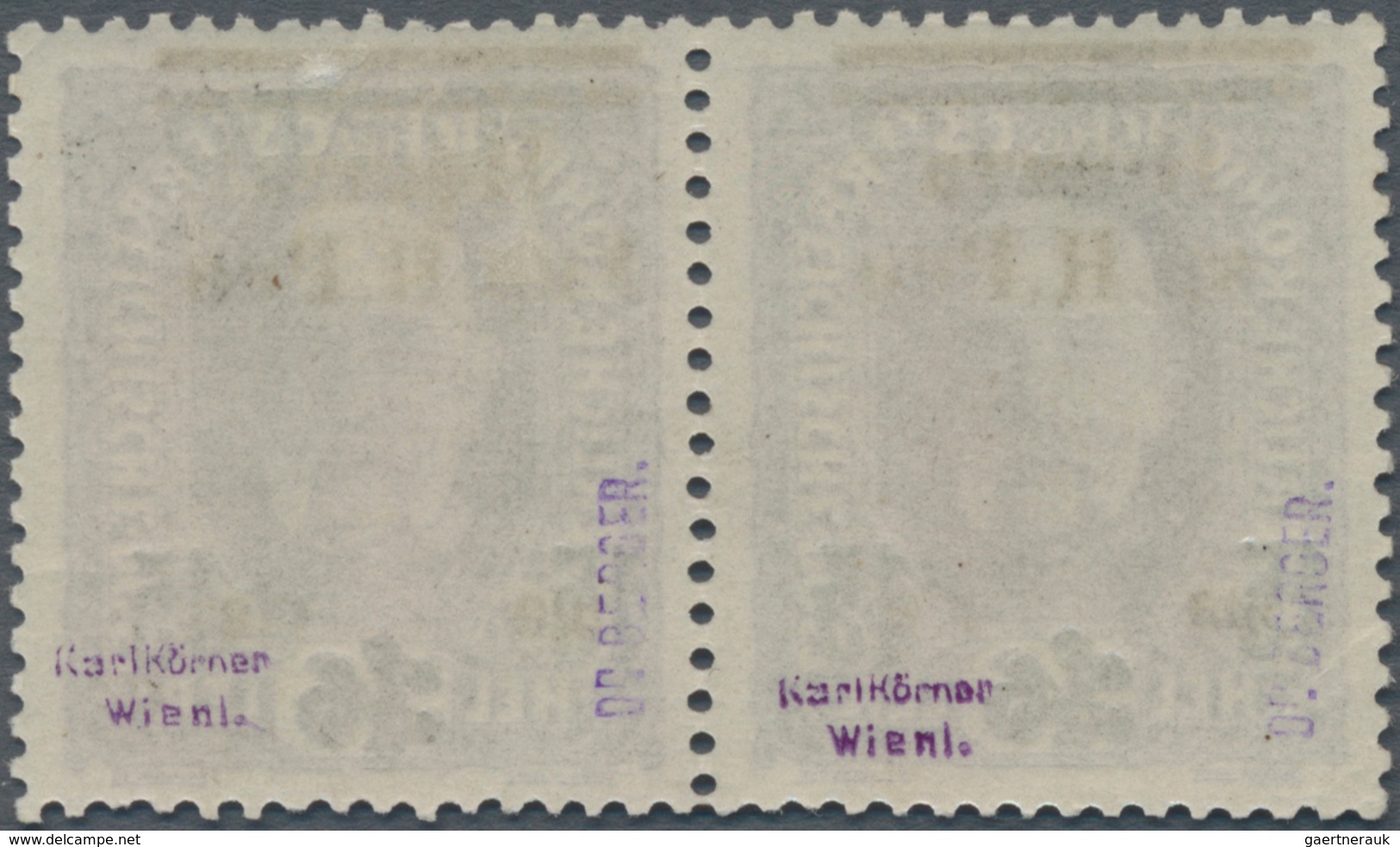 Westukraine: 1919, Postage Due From Austria 15 Schahiw On 36 H With In Pair With Varity "missing 'Y' - Ukraine