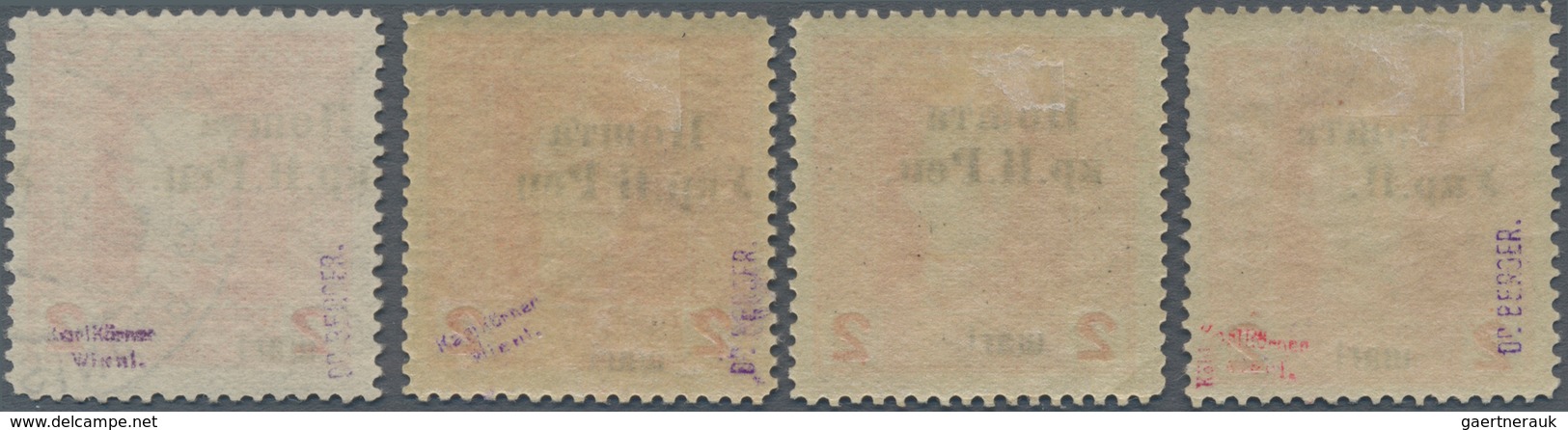 Westukraine: 1919, Postage Stamp. Austrian-Hungarian Field Post With Overprint 2 Schari With Differe - Ucrania