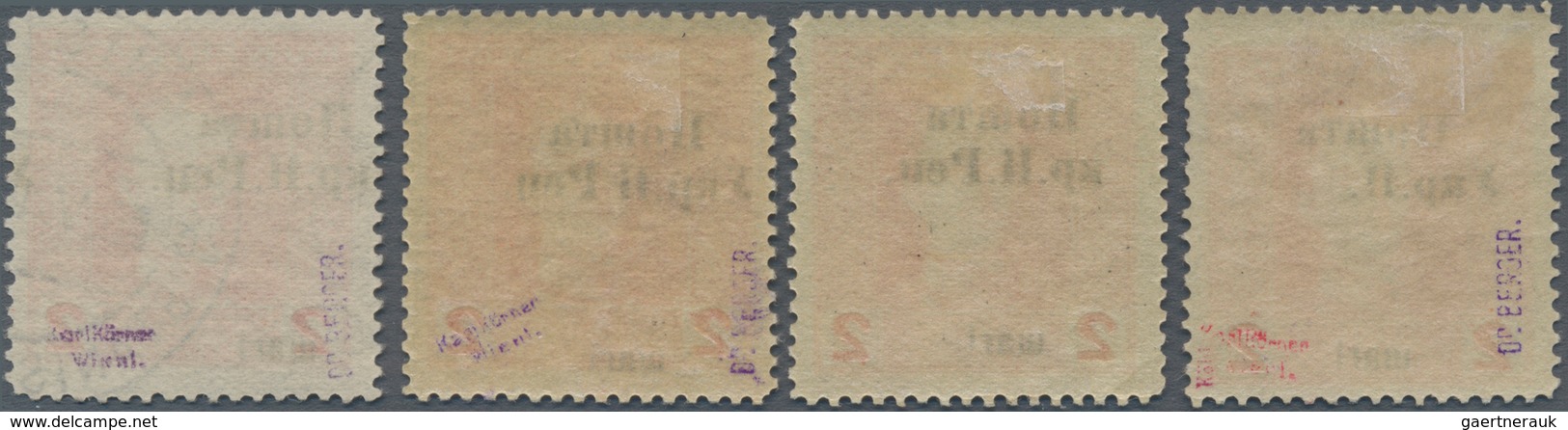 Westukraine: 1919, Postage Stamp. Austrian-Hungarian Field Post With Overprint 2 Schari With Differe - Oekraïne