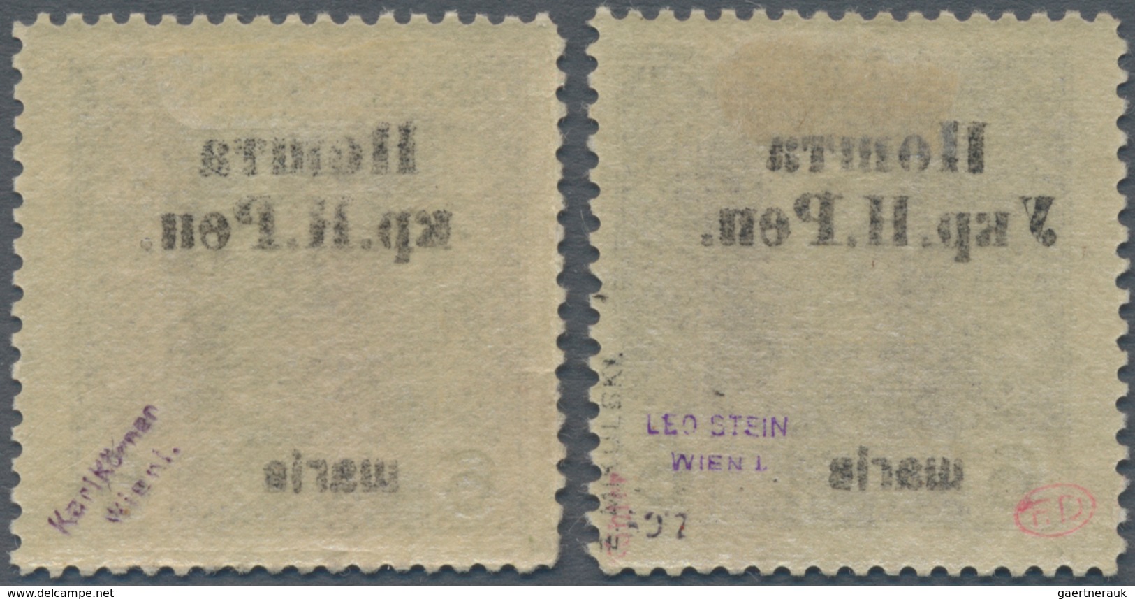Westukraine: 1919, Postage Stamp. Austrian-Hungarian Field Post With Overprint 6 Schari With Varity - Oekraïne