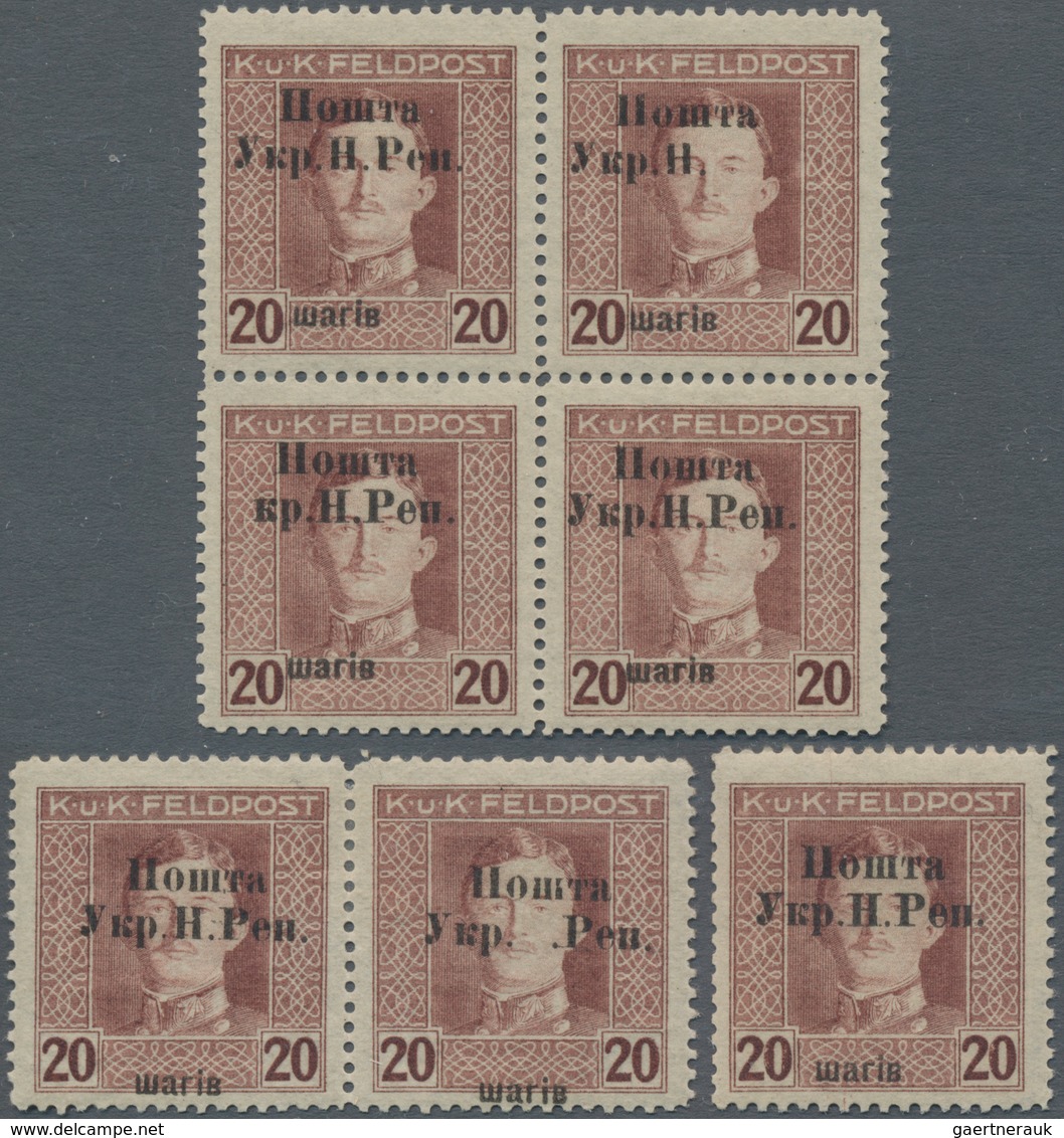 Westukraine: 1919, Postage Stamp. Austrian-Hungarian Field Post With Overprint 20 Schari With Variti - Oekraïne