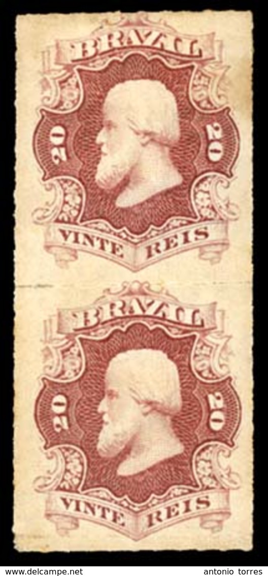 BRAZIL. 1876. 20r Rose Lilac, A Fine Original Gum Vertical Pair In Deep Shade. Scott 62. Meyer 31. - Other & Unclassified