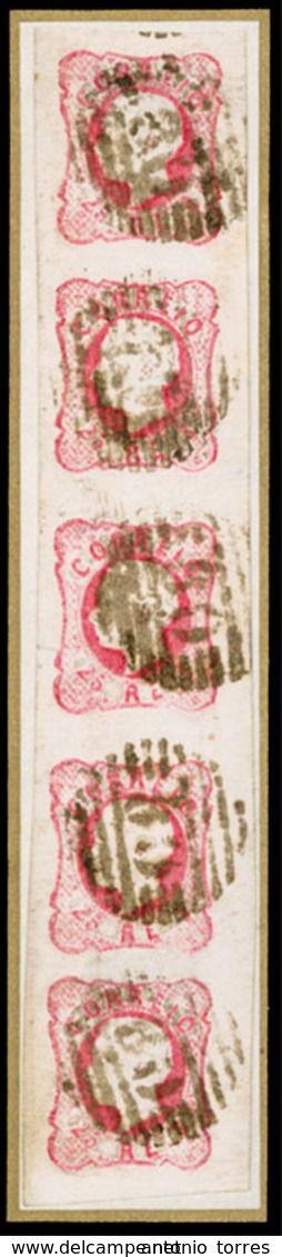 PORTUGAL. 16º Die IV. Vert. STRIP OF FIVE, Large Margins "80" Grill (Arganil). Great Appeal. - Other & Unclassified