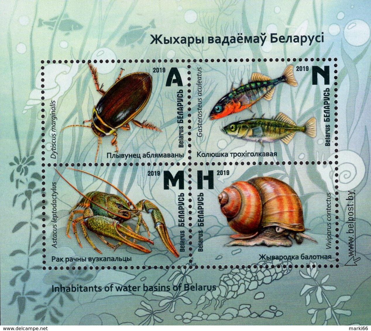 Belarus - 2019 - Inhabitants Of Water Basins Of Belarus - Mint Souvenir Sheet With Varnish And Embossing - Bielorussia