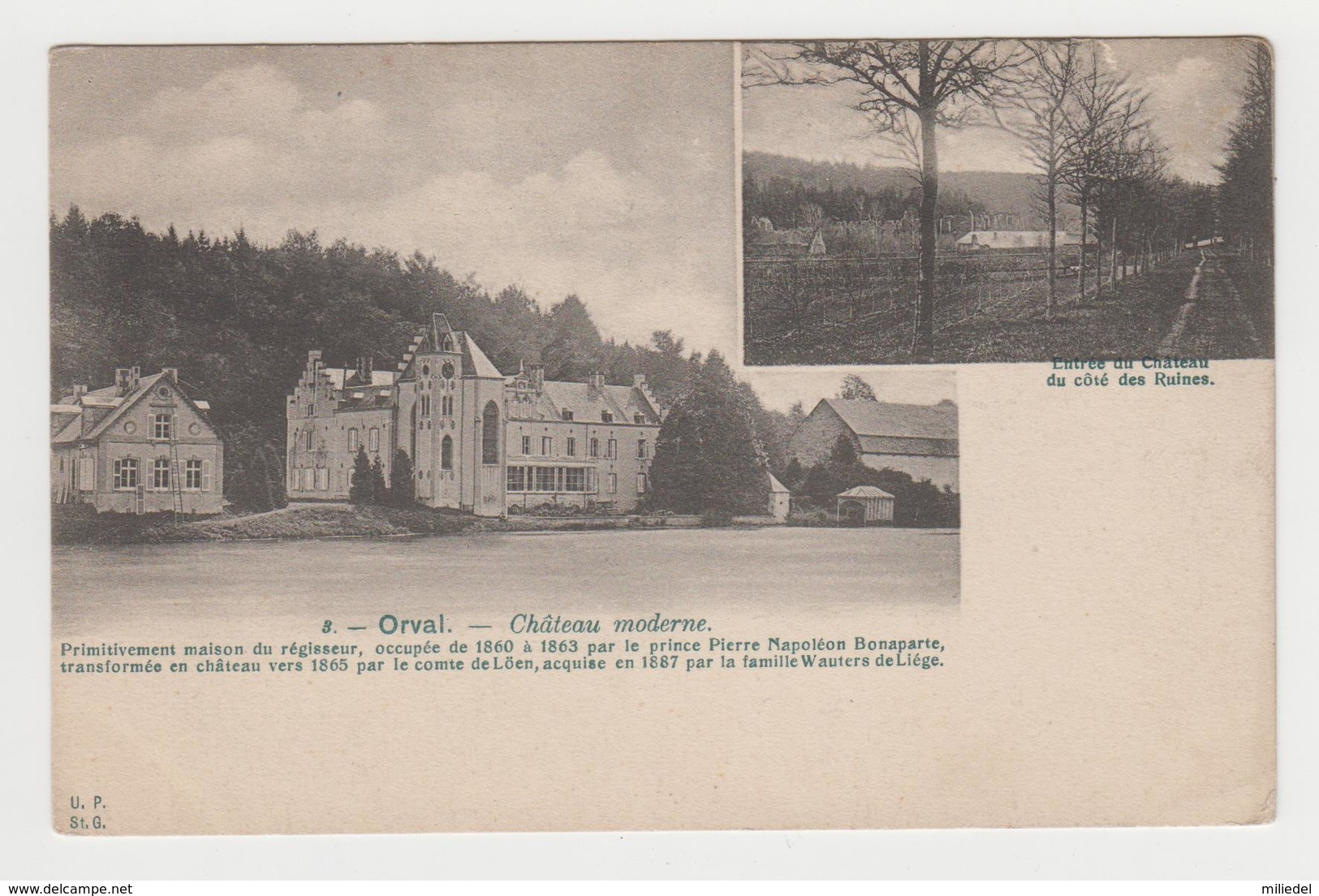 AA664 - Environs Florenville - ORVAL - Château Moderne - Florenville