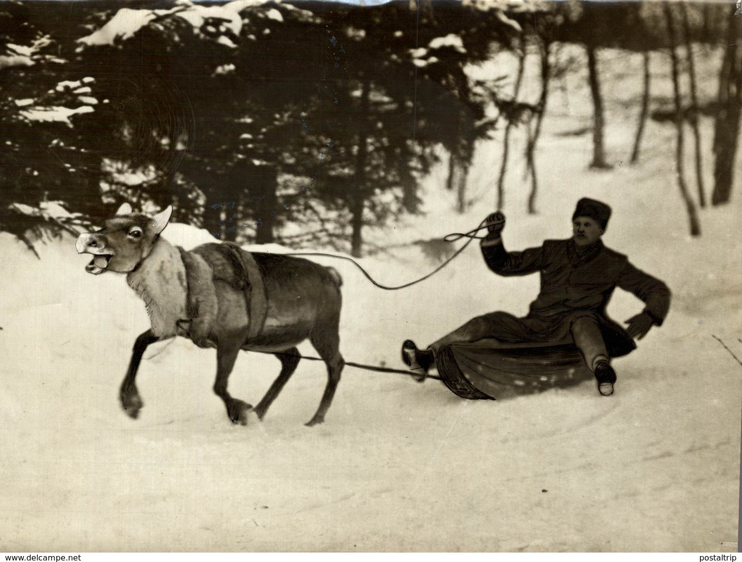 REINDEER PULLING IN ALASKA  ATTELAGE CART   ANIMAUX ANIMALS ANIMALES   21*16CM Fonds Victor FORBIN 1864-1947 - Otros & Sin Clasificación