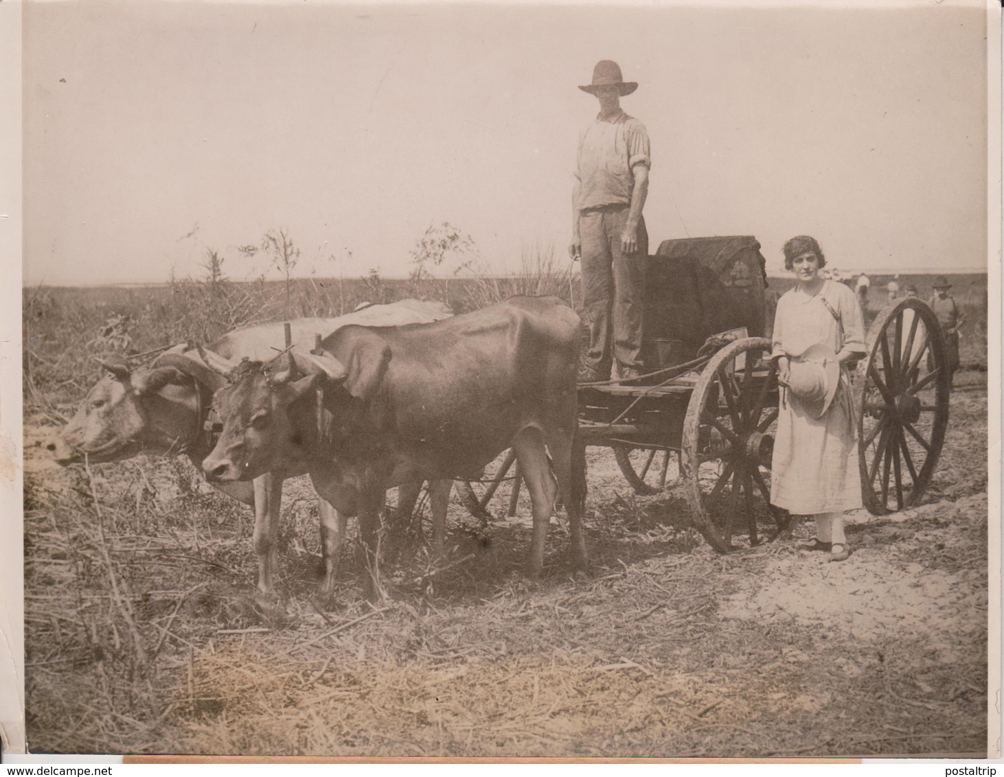 MAYOR MOOREHAVEN FLORIDA PHILADELPHIA ATTELAGE CART ANIMAUX ANIMALS ANIMALES   20*15CM Fonds Victor FORBIN 1864-1947 - Lugares