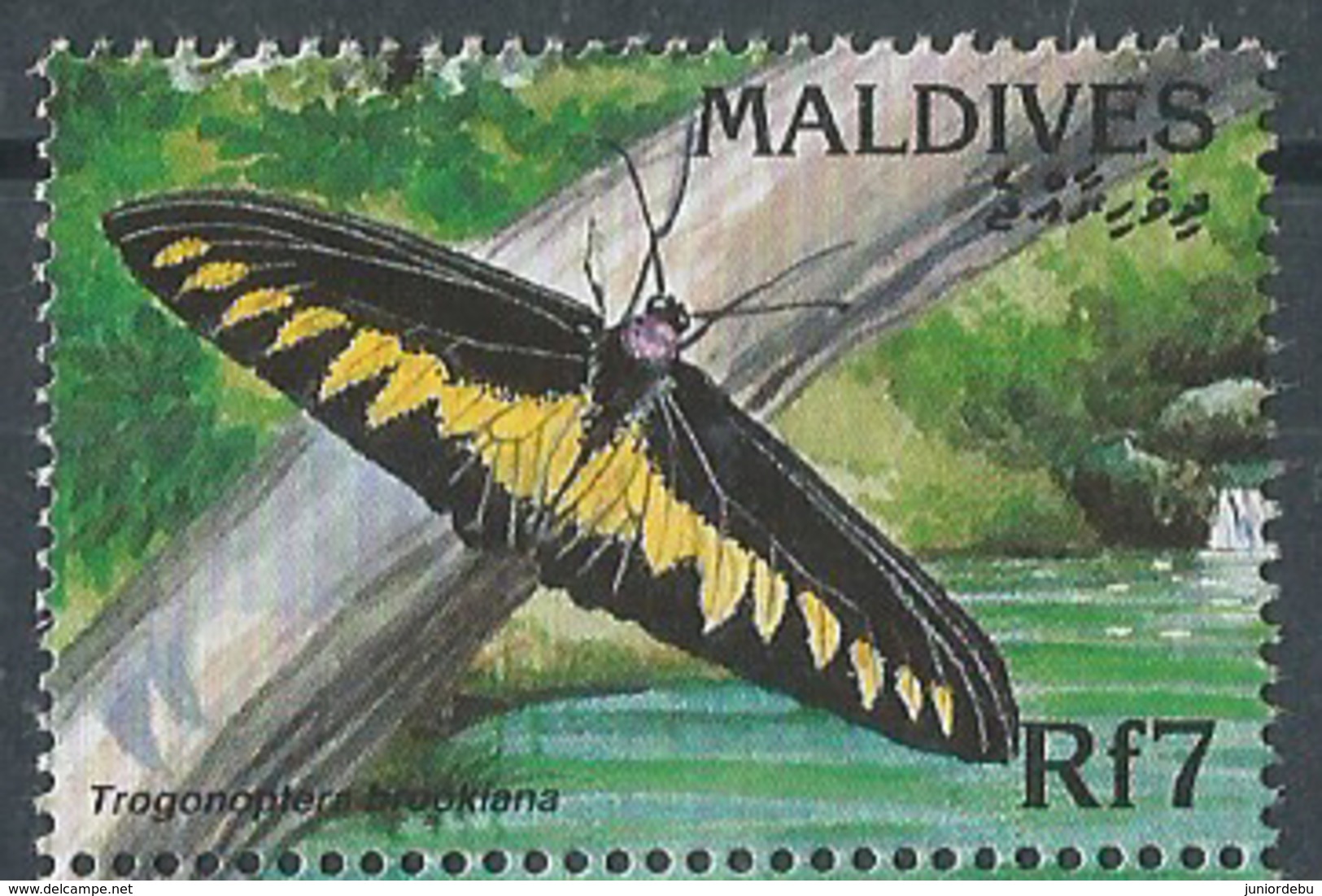 Maldives  -1996  - Fauna - Trogonoptera Brookiana- MNH. - Maldivas (1965-...)