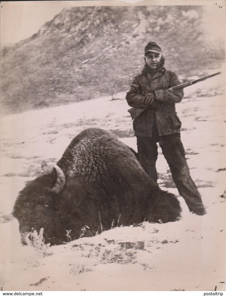 LAST GREAT BUFFALO HUNT ANTELOPE GREAT SALT LAKE  ANIMAUX ANIMALS ANIMALES 22*17CM Fonds Victor FORBIN 1864-1947 - Otros & Sin Clasificación