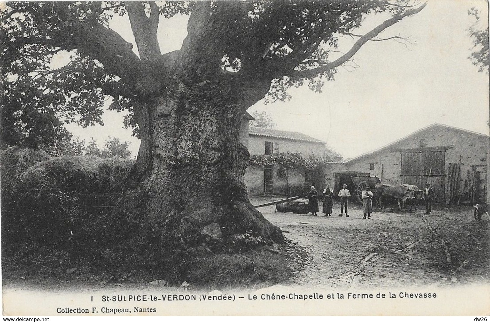 St Saint-Sulpice-le-Verdon (Vendée) - Le Chêne-Chapelle Et La Ferme De La Chevasse - Carte N° 1 Non Circulée - Otros & Sin Clasificación