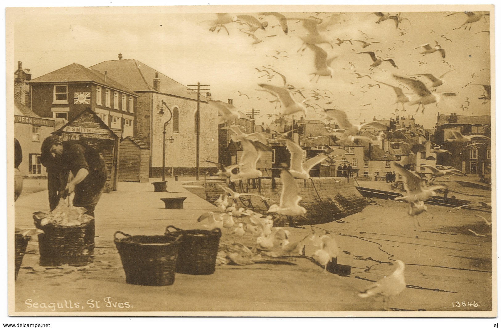 Seagulls St Ives - Art & Literature Harbour Gallery Unused - St.Ives