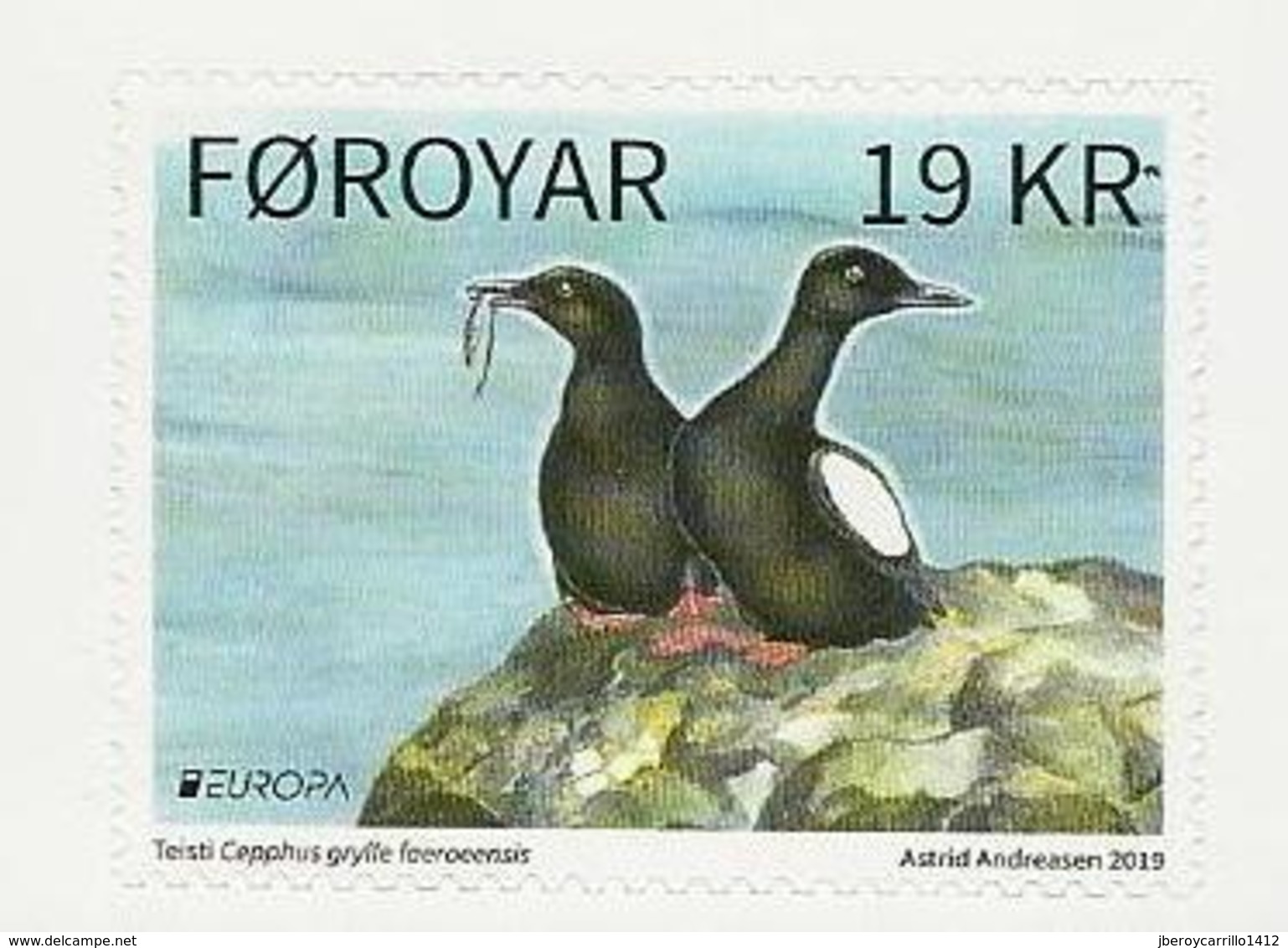 FEROE /FAROE / FÄRÖER / FØROYAR  -EUROPA 2019 -NATIONAL BIRDS.-"AVES-BIRDS -VÖGEL-OISEAUX"-SERIE De 1 V: ADHESIVO-CARNET - 2019