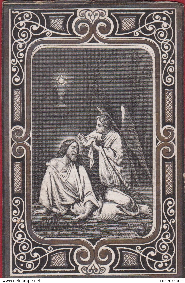 Petrus Van Heurck Edegem Hove 1867 Ange Angel Engel Taymans-Nezy Lier Zeer Oud Doodsprentje Image Mortuaire - Devotion Images